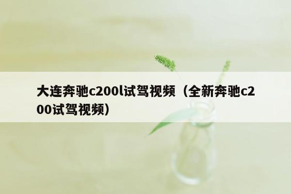 大连奔驰c200l试驾视频（全新奔驰c200试驾视频）