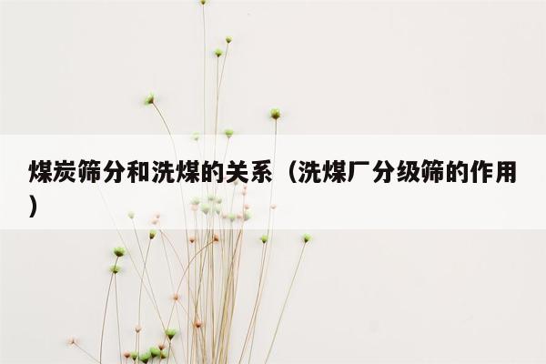 煤炭筛分和洗煤的关系（洗煤厂分级筛的作用）