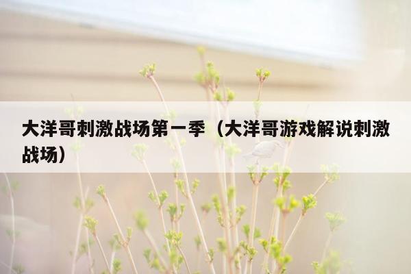 大洋哥刺激战场第一季（大洋哥游戏解说刺激战场）