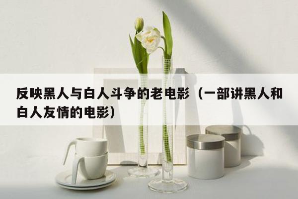 反映黑人与白人斗争的老电影（一部讲黑人和白人友情的电影）