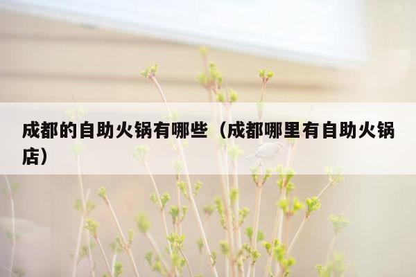 成都的自助火锅有哪些（成都哪里有自助火锅店）
