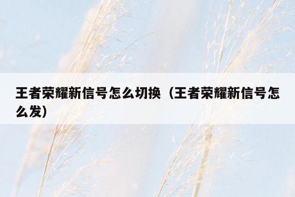 王者荣耀新信号怎么切换（王者荣耀新信号怎么发）