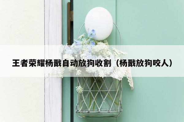王者荣耀杨戬自动放狗收割（杨戬放狗咬人）