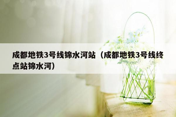 成都地铁3号线锦水河站（成都地铁3号线终点站锦水河）