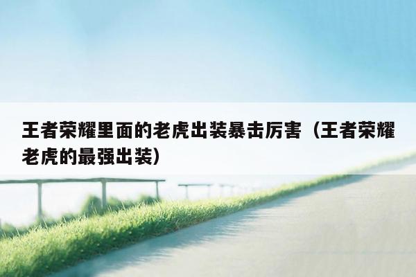 王者荣耀里面的老虎出装暴击厉害（王者荣耀老虎的最强出装）