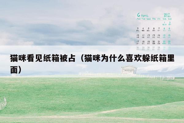 猫咪看见纸箱被占（猫咪为什么喜欢躲纸箱里面）