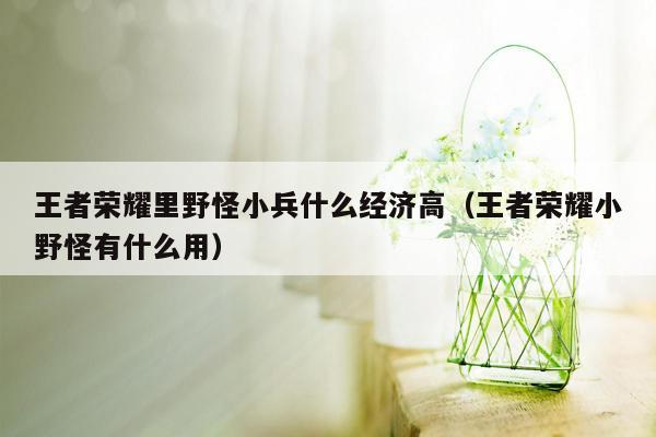 王者荣耀里野怪小兵什么经济高（王者荣耀小野怪有什么用）