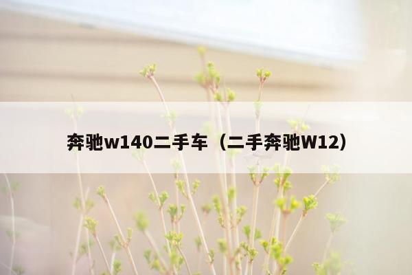 奔驰w140二手车（二手奔驰W12）