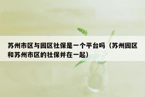 苏州市区与园区社保是一个平台吗（苏州园区和苏州市区的社保并在一起）