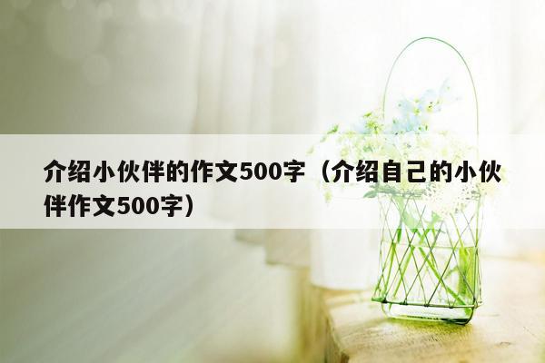 介绍小伙伴的作文500字（介绍自己的小伙伴作文500字）