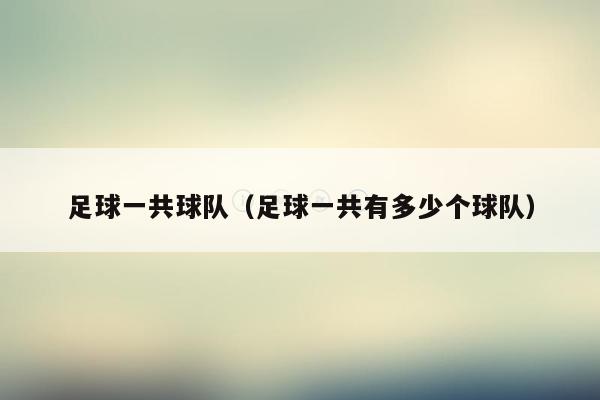 足球一共球队（足球一共有多少个球队）