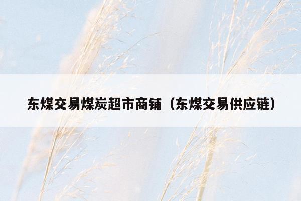 东煤交易煤炭超市商铺（东煤交易供应链）