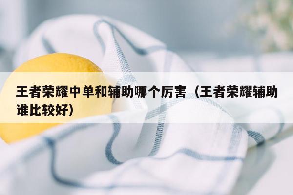 王者荣耀中单和辅助哪个厉害（王者荣耀辅助谁比较好）
