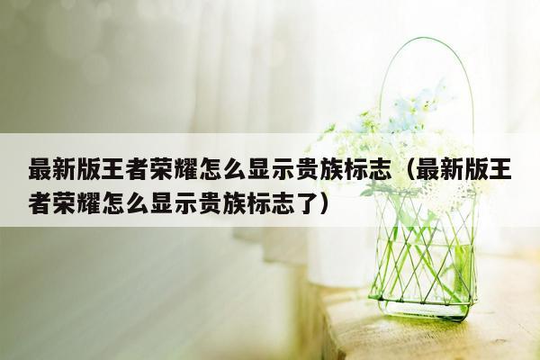 最新版王者荣耀怎么显示贵族标志（最新版王者荣耀怎么显示贵族标志了）