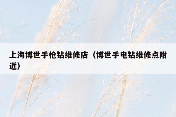 上海博世手枪钻维修店（博世手电钻维修点附近）