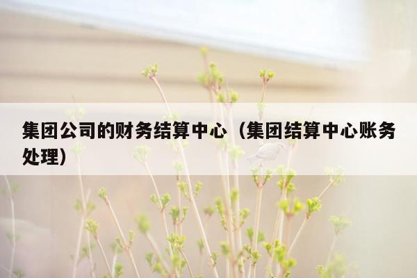 集团公司的财务结算中心（集团结算中心账务处理）