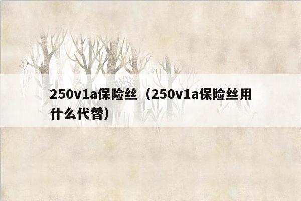250v1a保险丝（250v1a保险丝用什么代替）