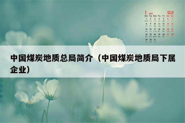 中国煤炭地质总局简介（中国煤炭地质局下属企业）