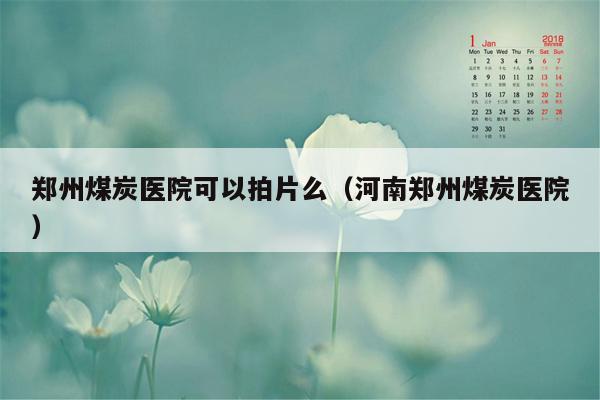 郑州煤炭医院可以拍片么（河南郑州煤炭医院）