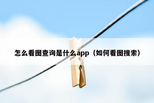 怎么看图查询是什么app（如何看图搜索）