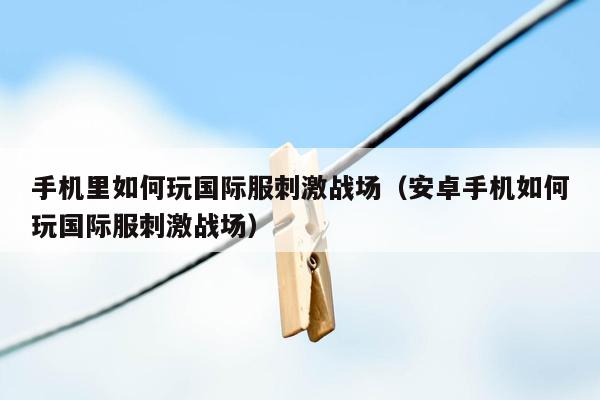 手机里如何玩国际服刺激战场（安卓手机如何玩国际服刺激战场）
