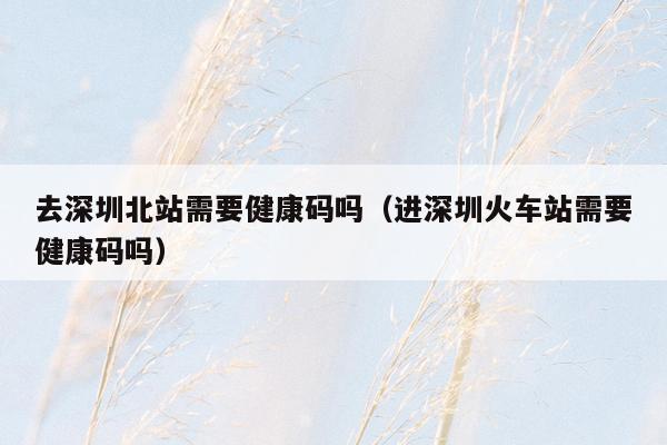 去深圳北站需要健康码吗（进深圳火车站需要健康码吗）