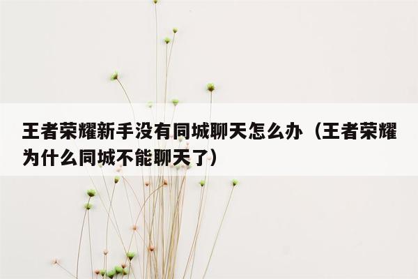 王者荣耀新手没有同城聊天怎么办（王者荣耀为什么同城不能聊天了）