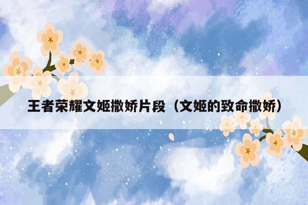 王者荣耀文姬撒娇片段（文姬的致命撒娇）