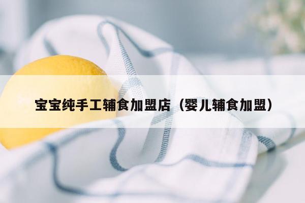 宝宝纯手工辅食加盟店（婴儿辅食加盟）