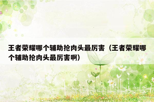 王者荣耀哪个辅助抢肉头最厉害（王者荣耀哪个辅助抢肉头最厉害啊）