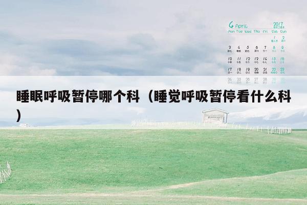 睡眠呼吸暂停哪个科（睡觉呼吸暂停看什么科）