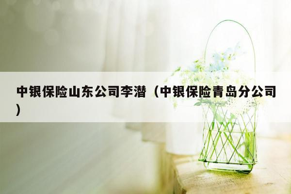 中银保险山东公司李潜（中银保险青岛分公司）