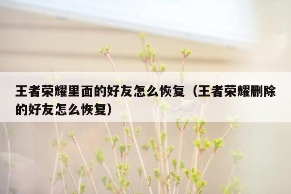 王者荣耀里面的好友怎么恢复（王者荣耀删除的好友怎么恢复）