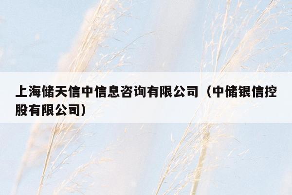 上海储天信中信息咨询有限公司（中储银信控股有限公司）