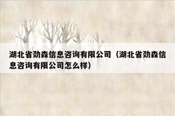 湖北省劲森信息咨询有限公司（湖北省劲森信息咨询有限公司怎么样）