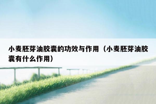 小麦胚芽油胶囊的功效与作用（小麦胚芽油胶囊有什么作用）