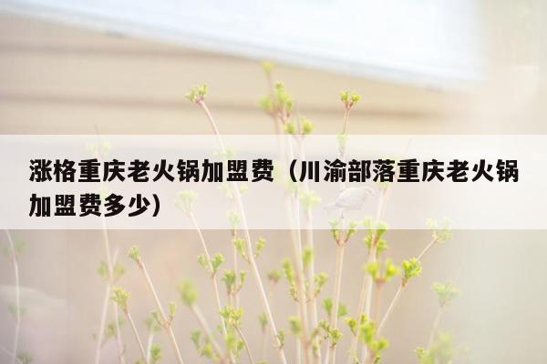 涨格重庆老火锅加盟费（川渝部落重庆老火锅加盟费多少）