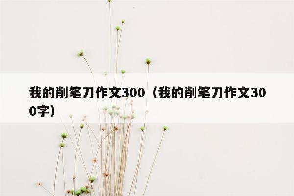 我的削笔刀作文300（我的削笔刀作文300字）