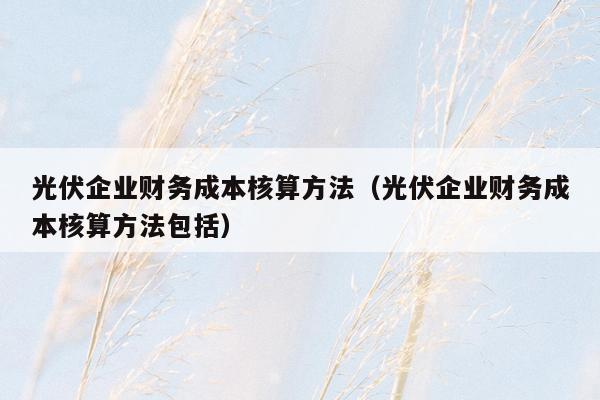 光伏企业财务成本核算方法（光伏企业财务成本核算方法包括）
