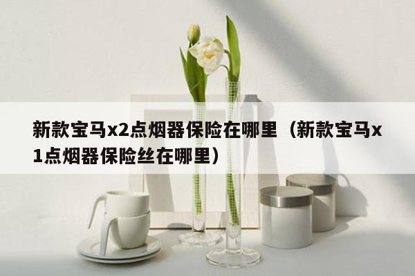 新款宝马x2点烟器保险在哪里（新款宝马x1点烟器保险丝在哪里）