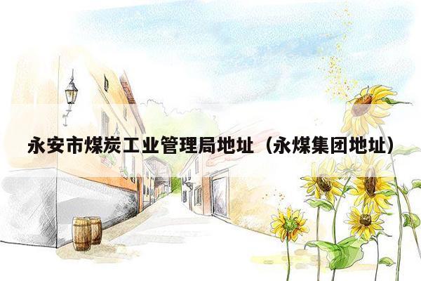 永安市煤炭工业管理局地址（永煤集团地址）