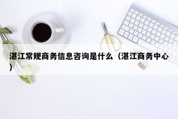 湛江常规商务信息咨询是什么（湛江商务中心）