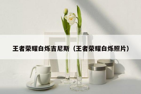 王者荣耀白烁吉尼斯（王者荣耀白烁照片）