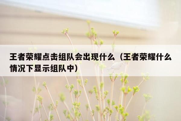 王者荣耀点击组队会出现什么（王者荣耀什么情况下显示组队中）