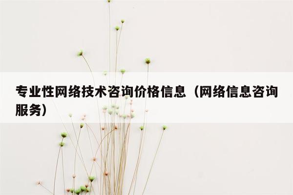 专业性网络技术咨询价格信息（网络信息咨询服务）