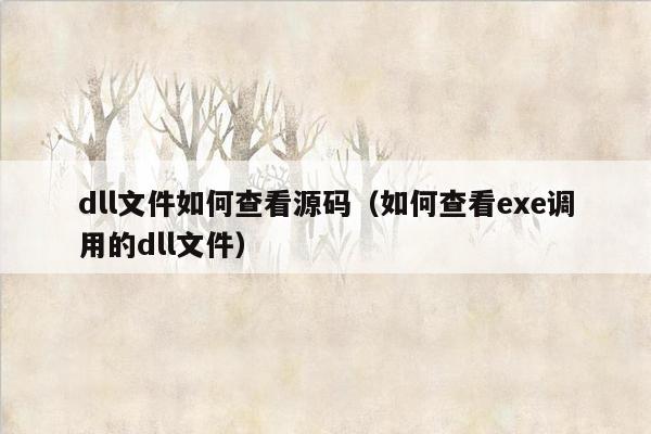 dll文件如何查看源码（如何查看exe调用的dll文件）