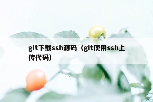 git下载ssh源码（git使用ssh上传代码）