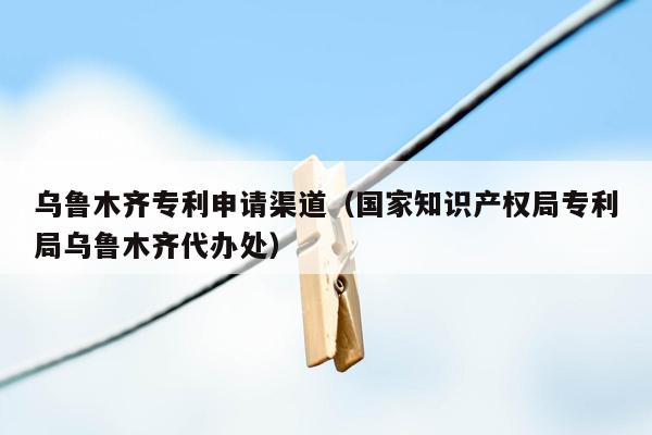 乌鲁木齐专利申请渠道（国家知识产权局专利局乌鲁木齐代办处）