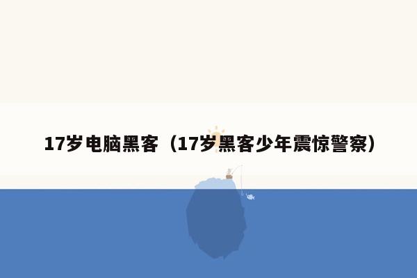 17岁电脑黑客（17岁黑客少年震惊警察）