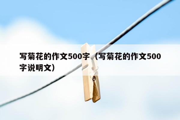 写菊花的作文500字（写菊花的作文500字说明文）